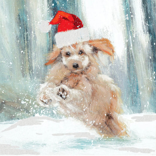 Santa Puppy – Pack of 6 Cards
