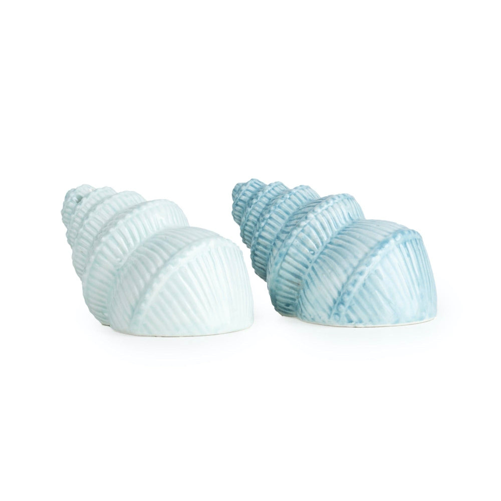 Seashell Salt & Pepper Set