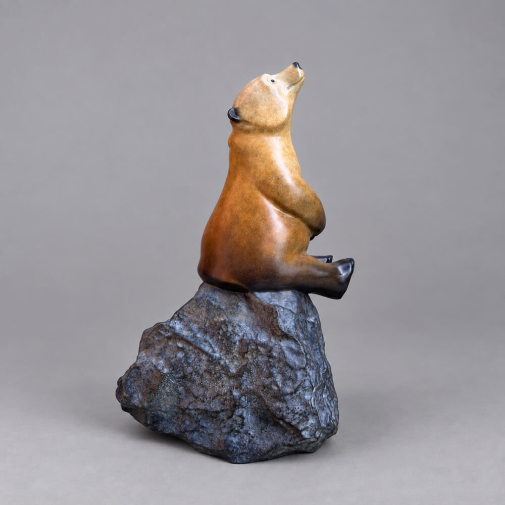 Star Gazer Bronze Sculpture by David Meredith – Limited Edition