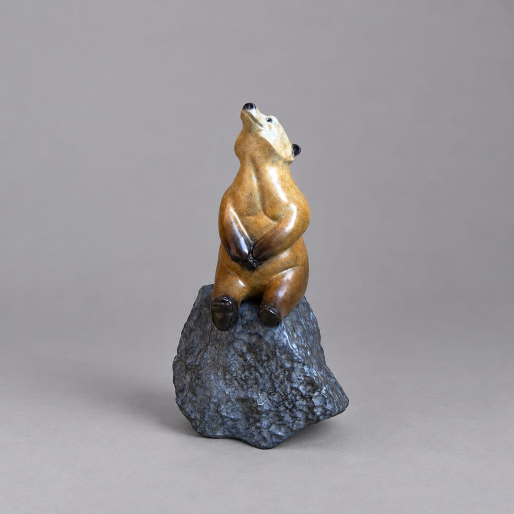Star Gazer Bronze Sculpture by David Meredith – Limited Edition