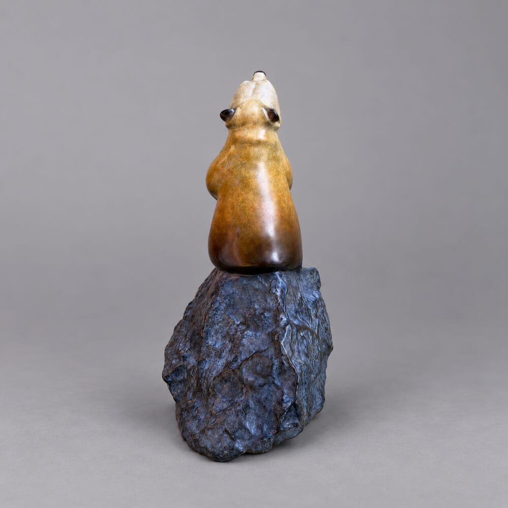 Star Gazer Bronze Sculpture by David Meredith – Limited Edition