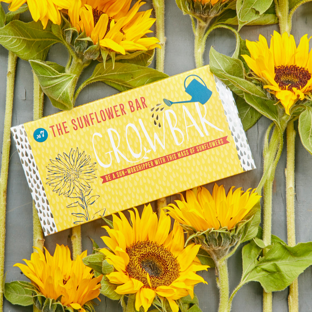 The Sunflower GrowBar