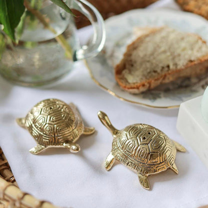 Turtle Salt & Pepper Set