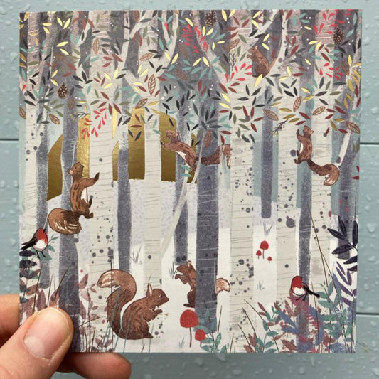 Woodland Delight  – Pack of 6 Cards