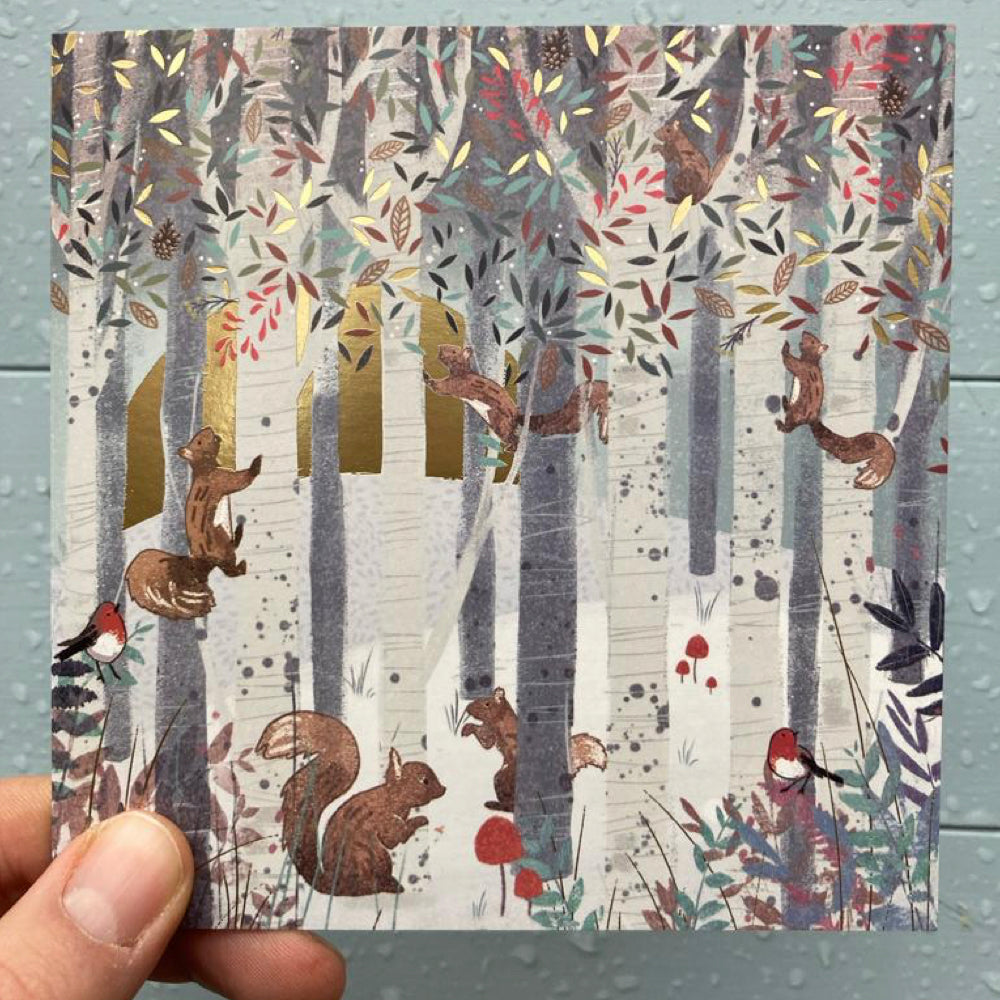 Woodland Delight | Pack of 6 Charity Christmas Cards