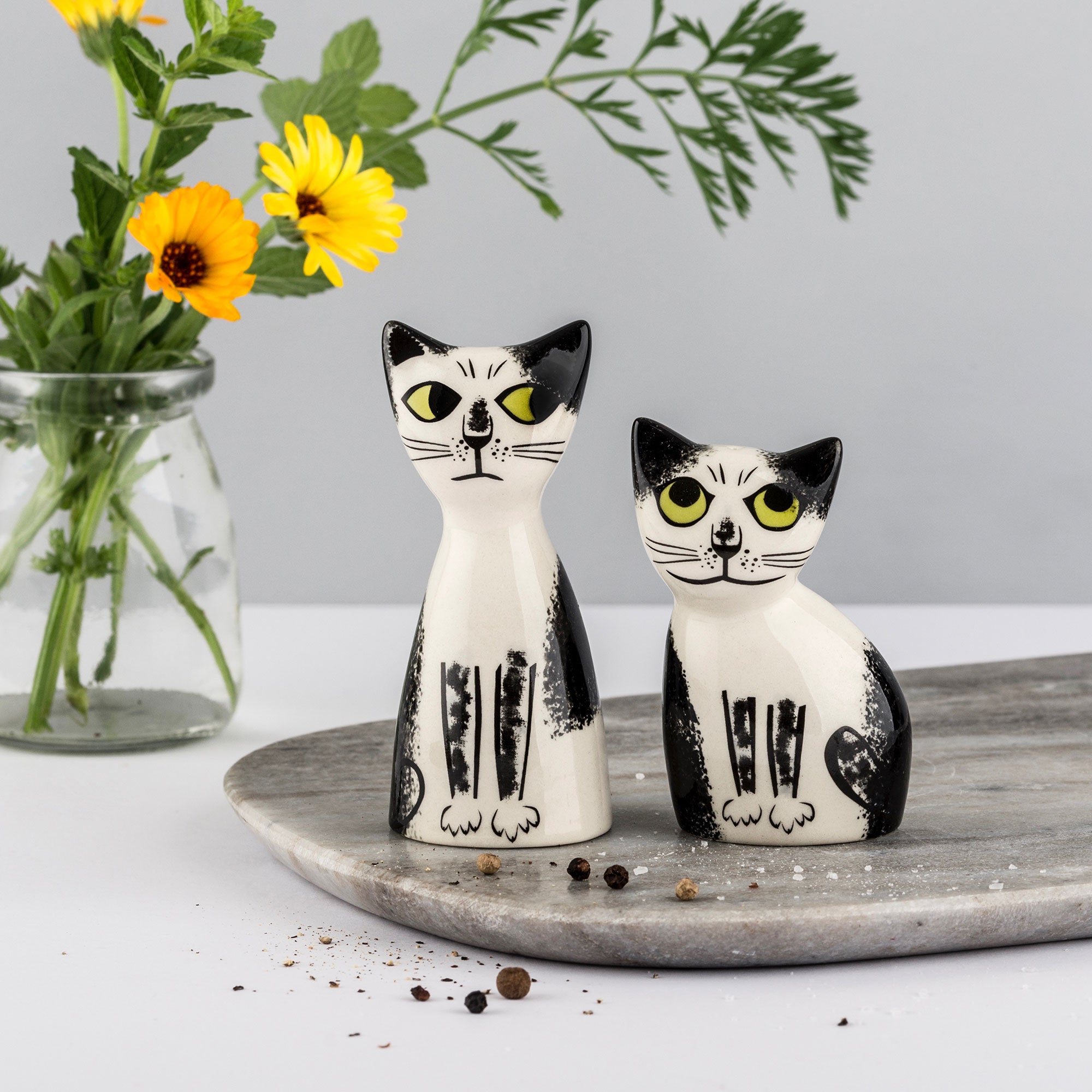 Cat Salt & Pepper Shaker Set