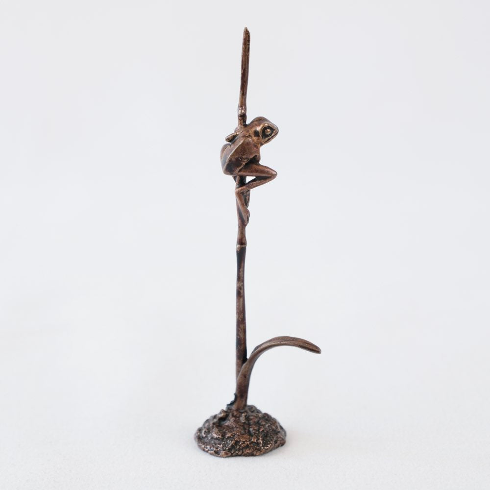 Bonsai bronze frog perched on a grass stem 