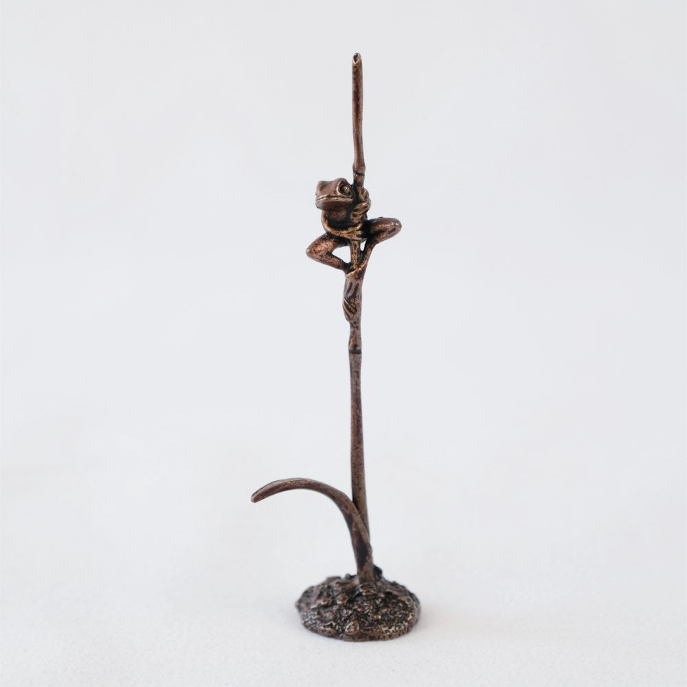 Bonsai bronze frog perched on a grass stem 