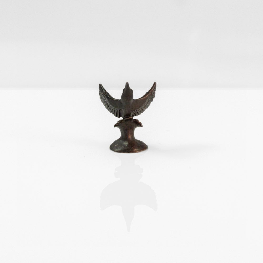 Miniature bronze kingfisher flying by David Meredith 