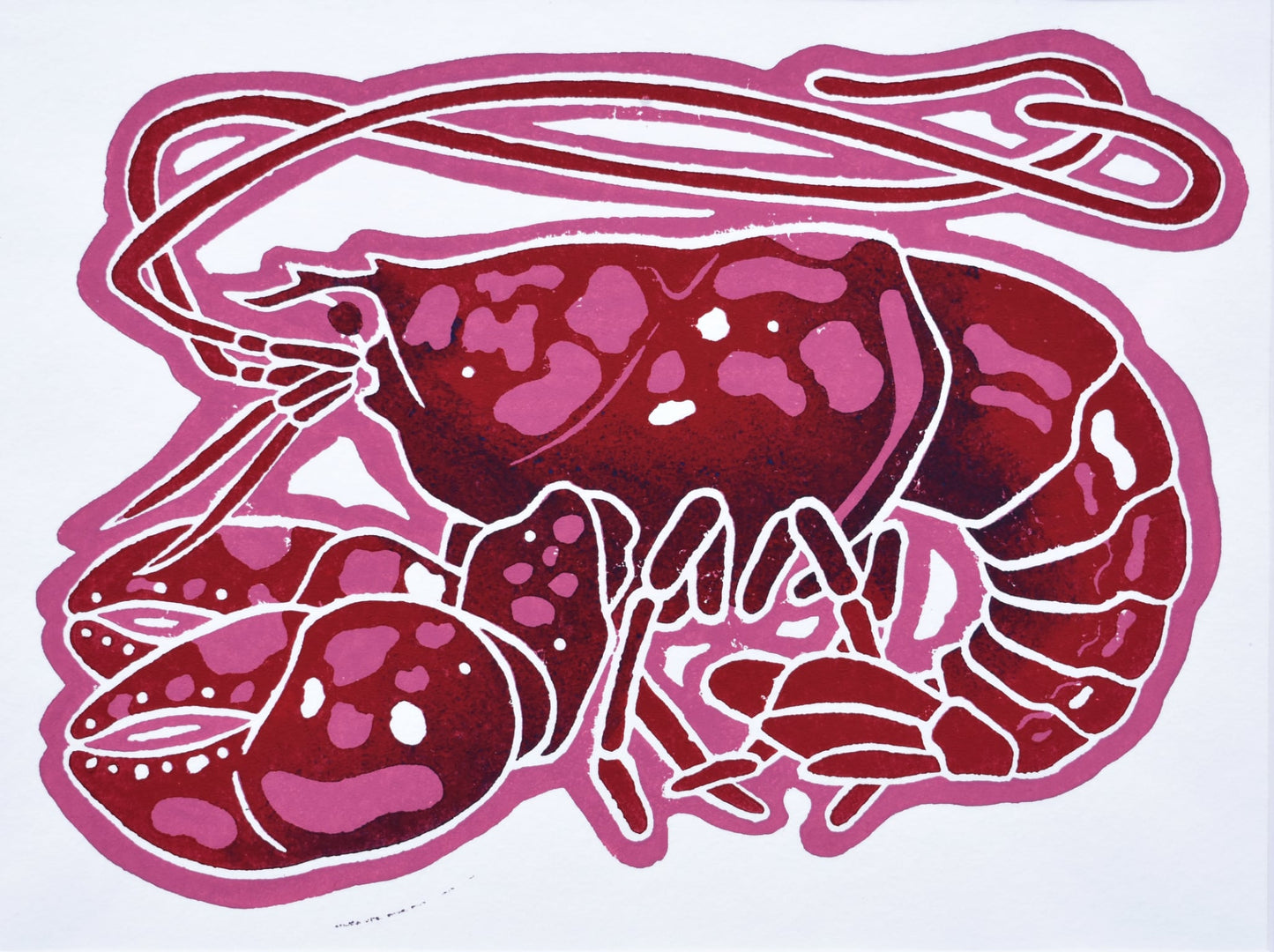 Red Claws | Limited Edition Print