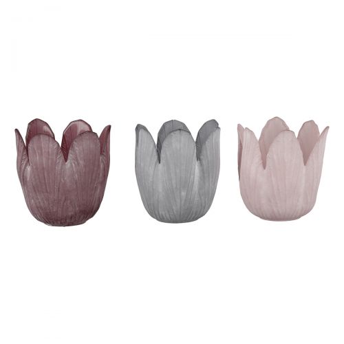 Tulip Glass Tea Light Holders | Set of 3