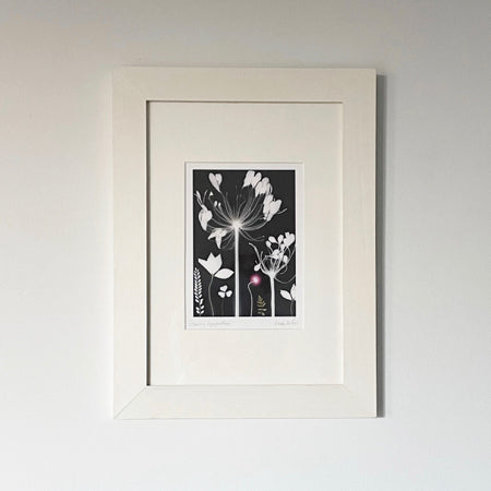 Glowing Agapanthus | Framed Print
