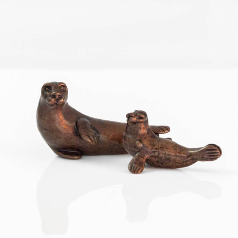 Bonsai Baby Seal | Red Lobster Gallery | Sheringham 