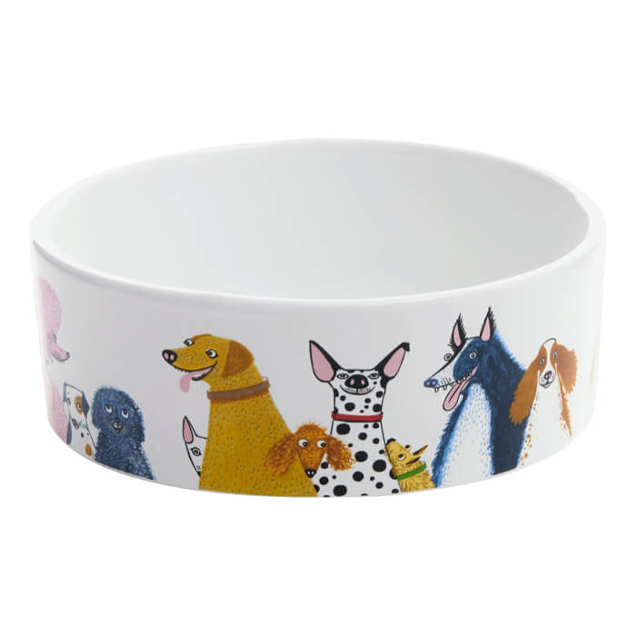 From Wags to Whiskers Medium Dog Bowl | Red Lobster Gallery | Sherigham 