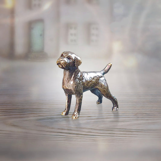 Miniature Bronze Border Terrier