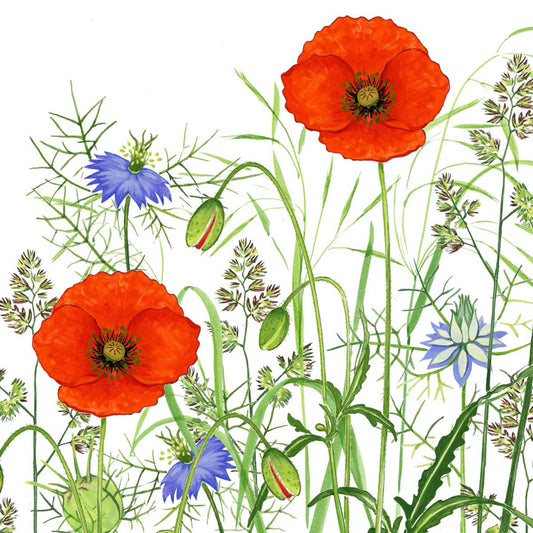 Poppy Fields Napkin