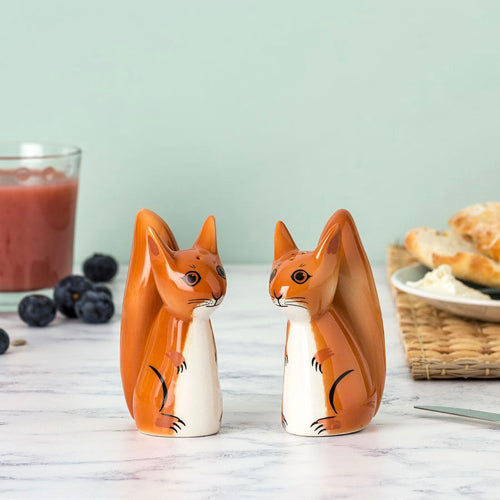 Red Squirrel Salt & Pepper Shakers