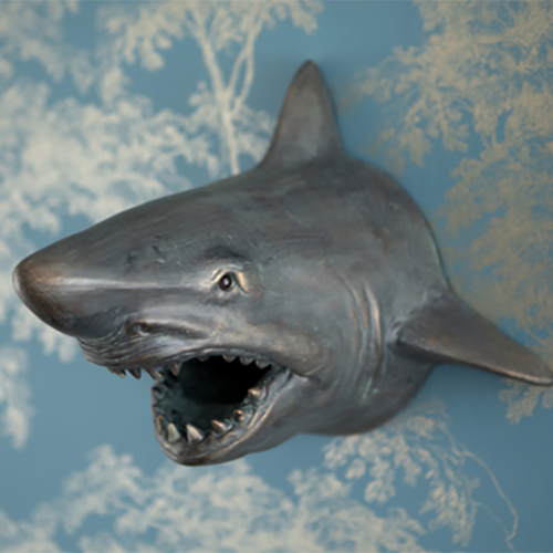 £d wall art of grey shark head.