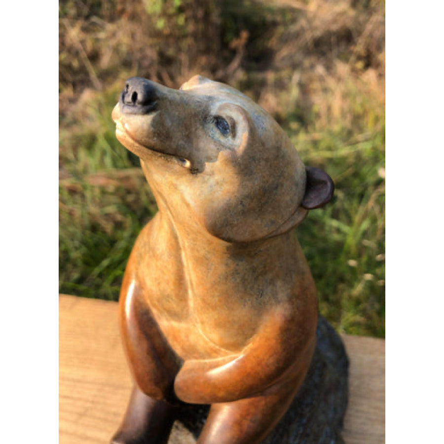 Star Gazer | Large  Bronze Sculpture by David Meredith – Limited Edition