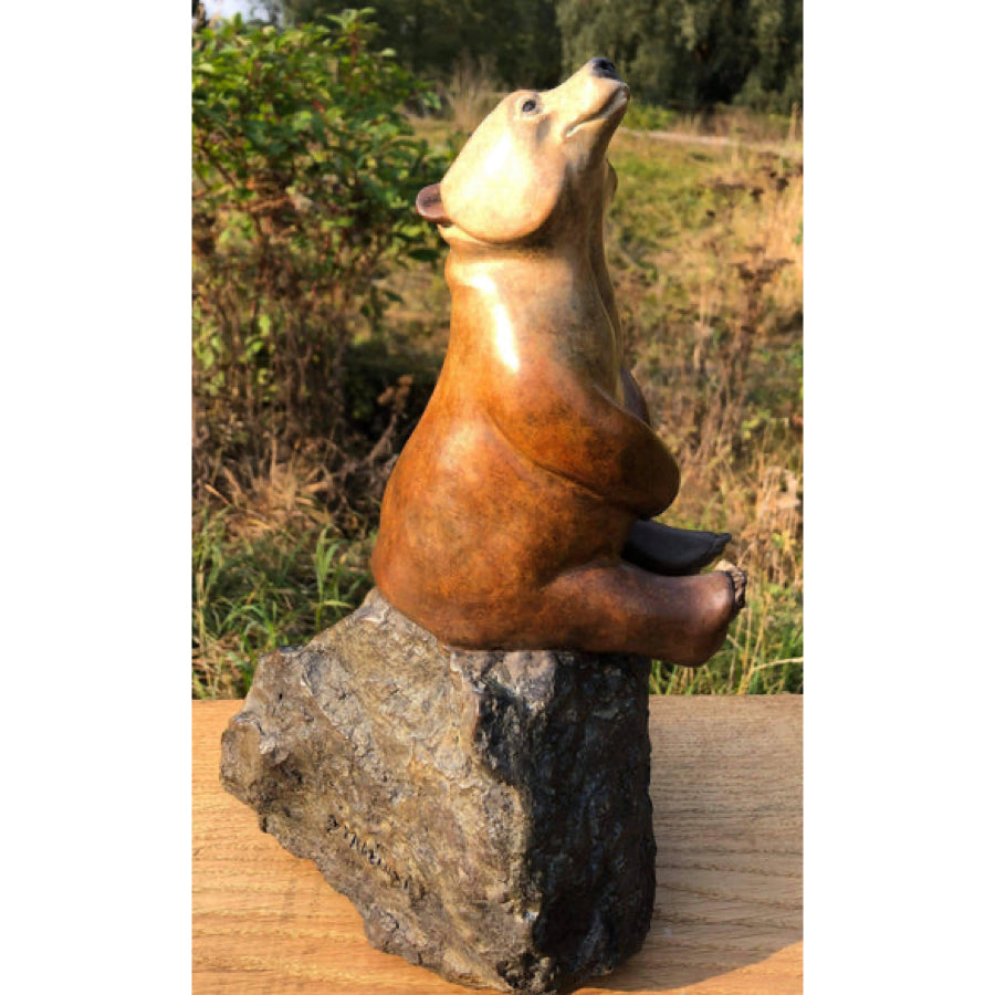 Star Gazer | Large  Bronze Sculpture by David Meredith – Limited Edition