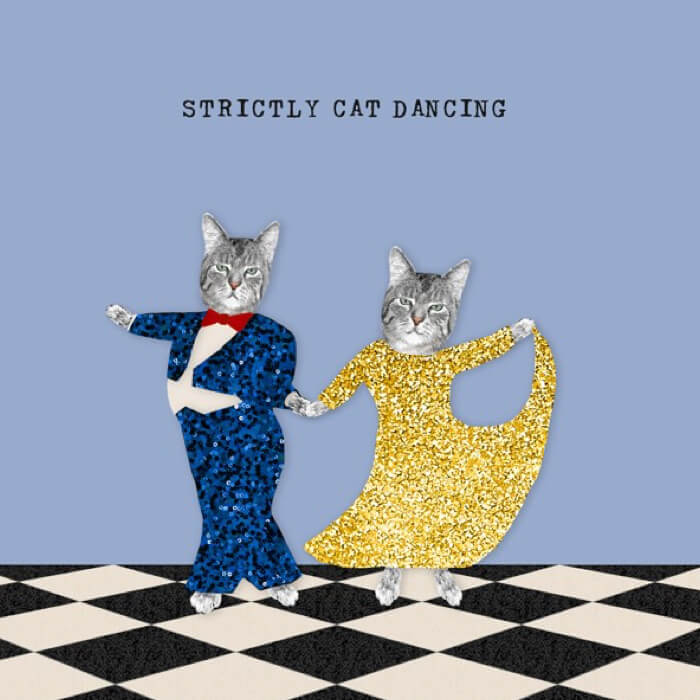 Strictly Cat Dancing | Humorous Cards at Red Lobster Gallery | Sheringham