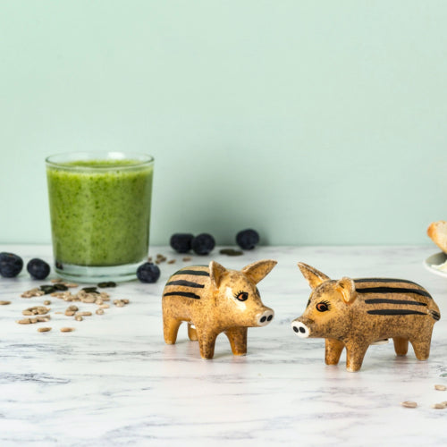 Wild Boar Piglet Salt & Pepper Shakers