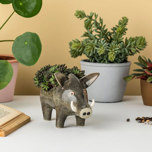 Wild Boar Planter | Hannah Turner | Red Lobster Gallery