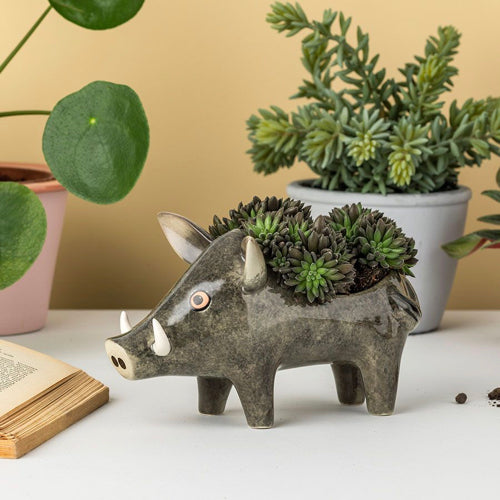 Wild Boar Planter | Hannah Turner | Red Lobster Gallery