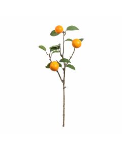 Orange Stem with 3 Fruits